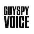GuySpy Voice Company Image